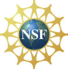 National Science Foundation